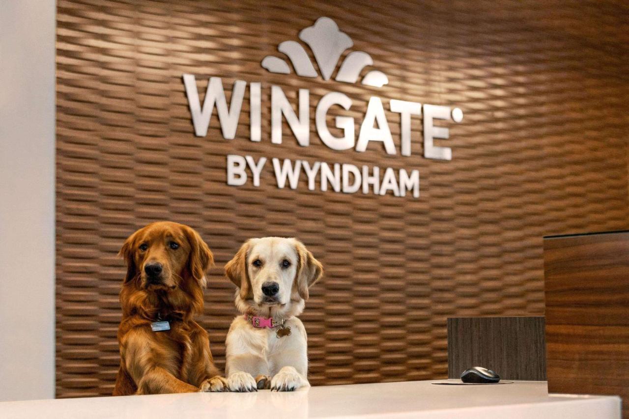 Wingate By Wyndham Lethbridge Ξενοδοχείο Εξωτερικό φωτογραφία